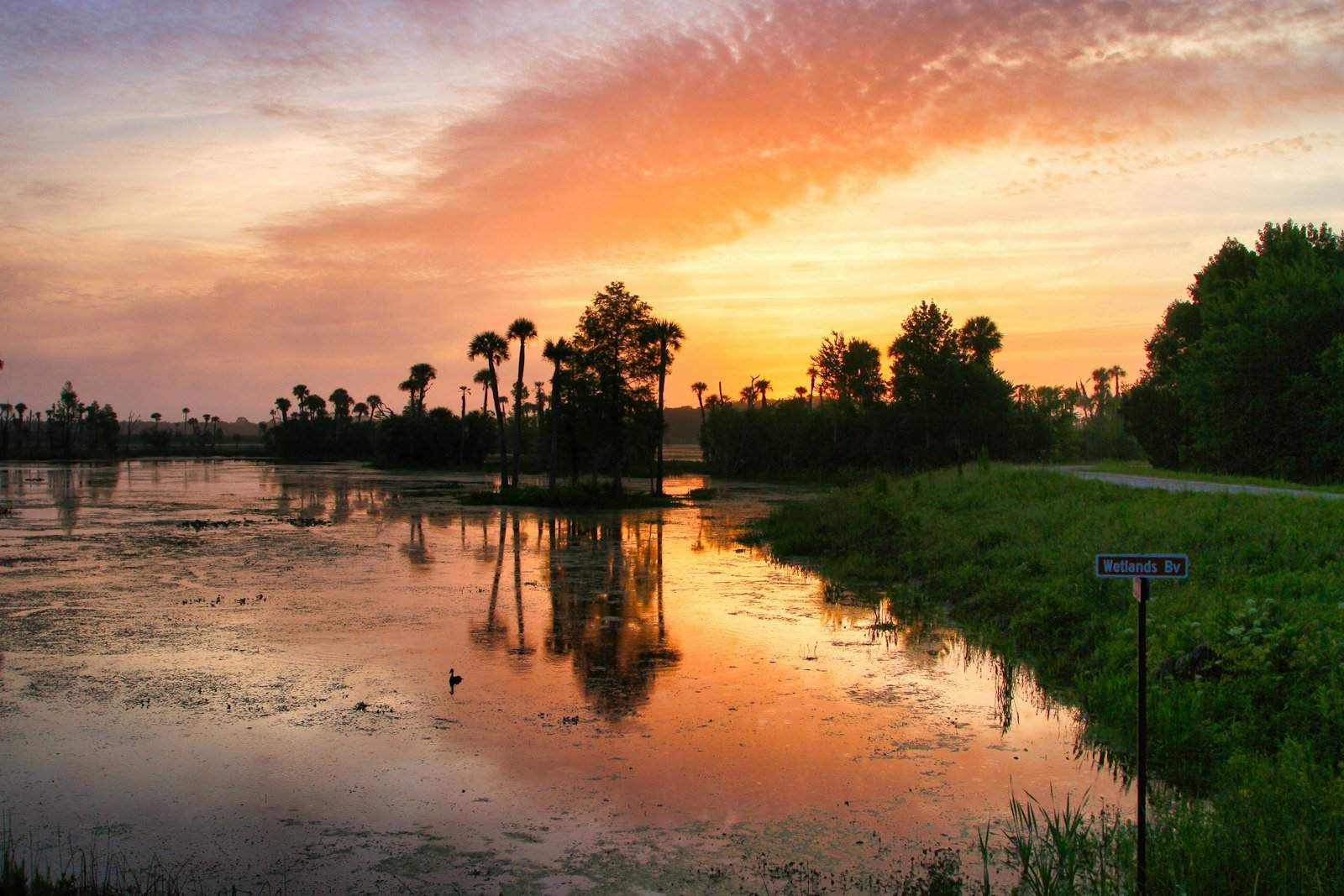 Sunset over a Central Florida lake near Longwood and Maitland