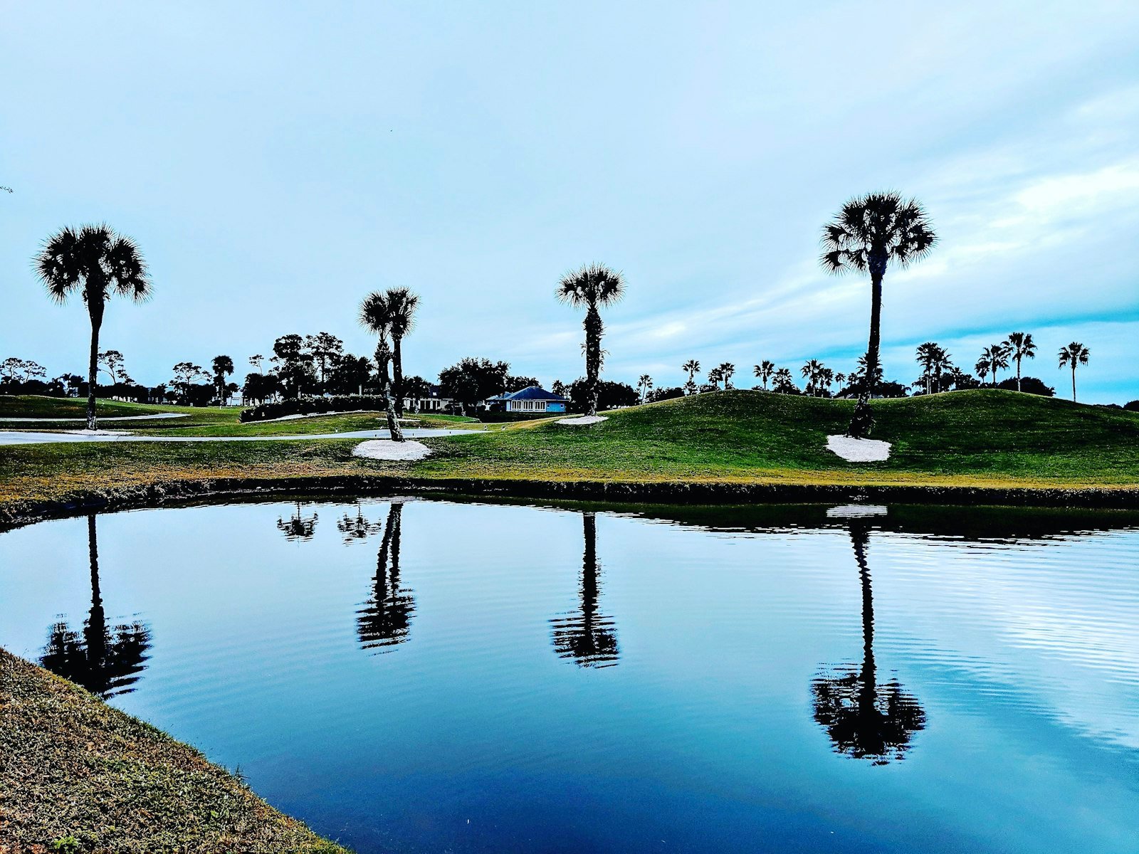 Palm trees reflected in a lake in the Lake Mary, Seminole County, Florida area