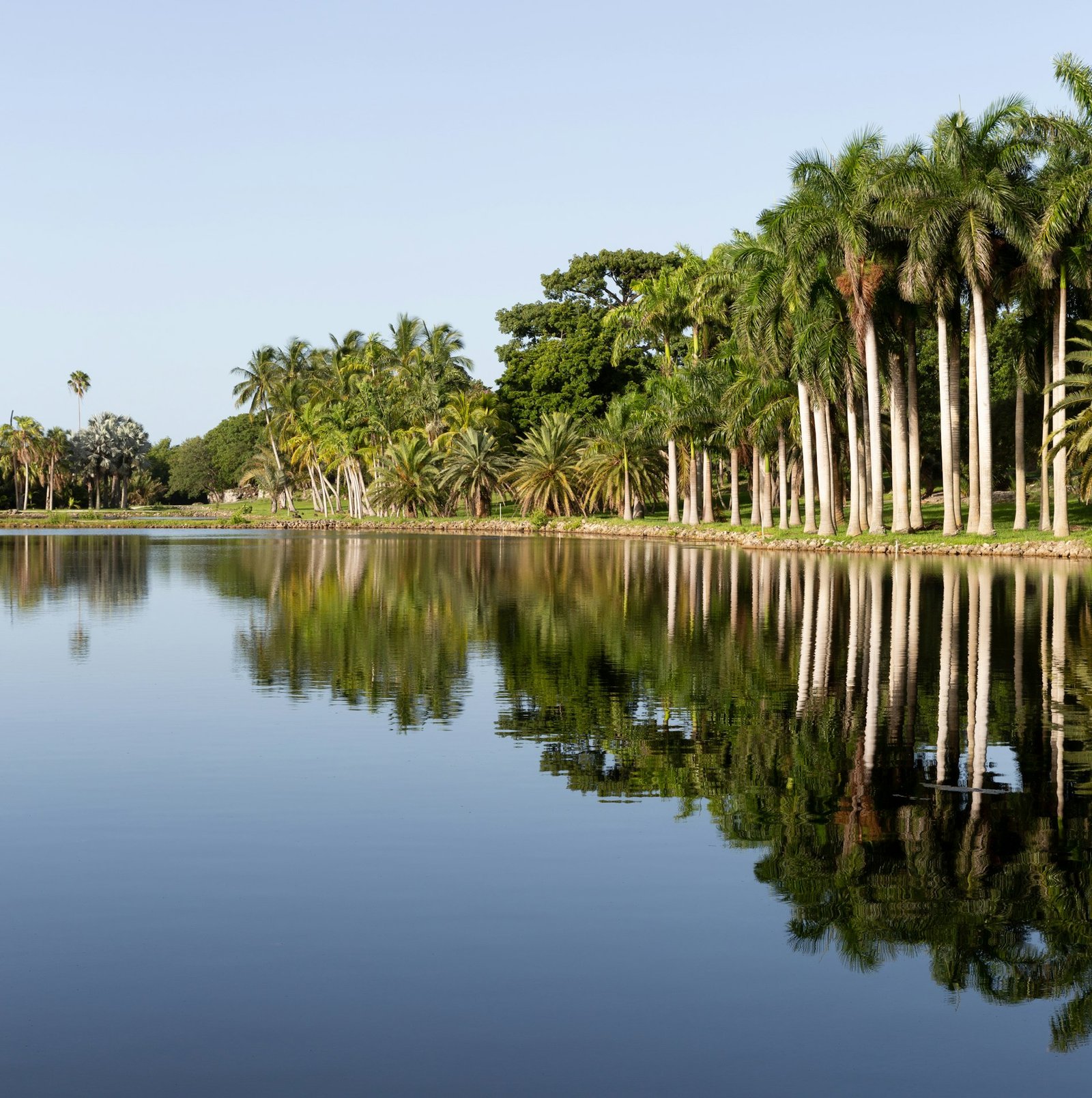 Palm lined lake in Central Florida where Embracing Home Care serves clients